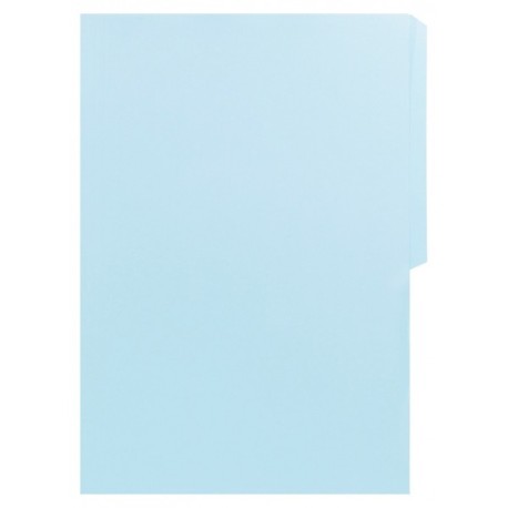 Folder Oficio Azul Pastel